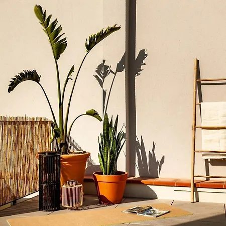 Spacest - Carrer De Josep Torres H Apartament